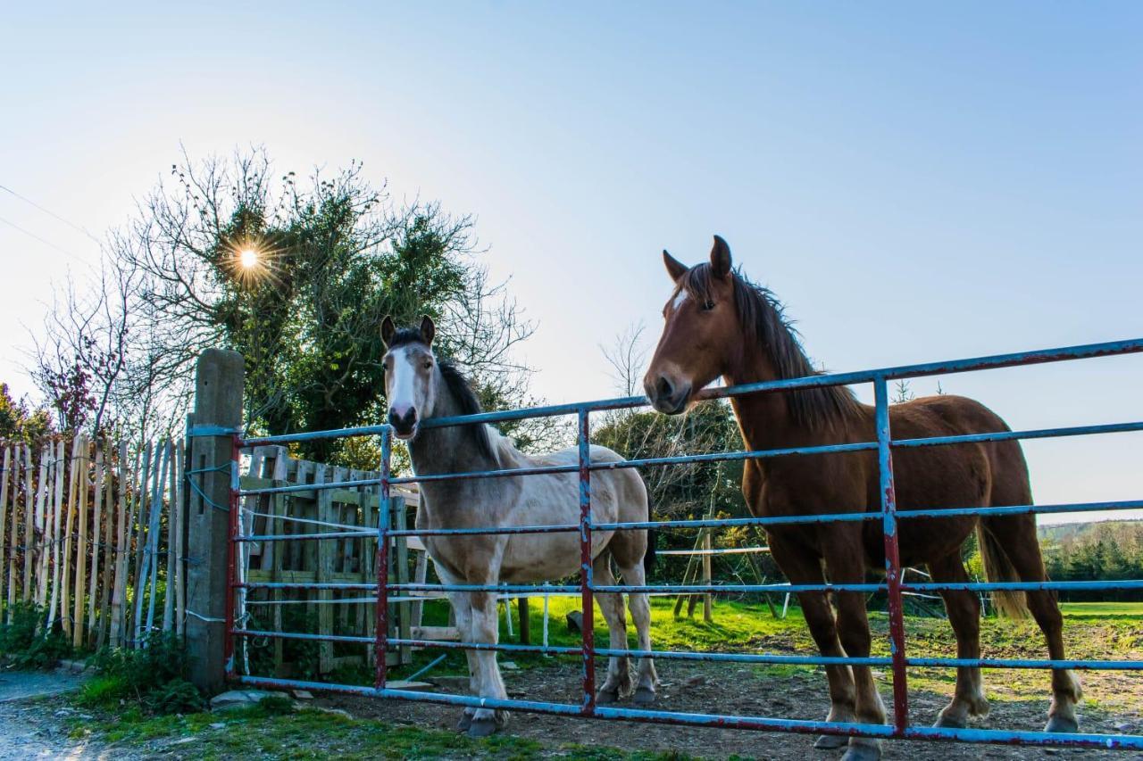 The Heights & Hollows Farmhouse, Saul, Downpatrick, Sleeps 14 Holiday home Downpatrick