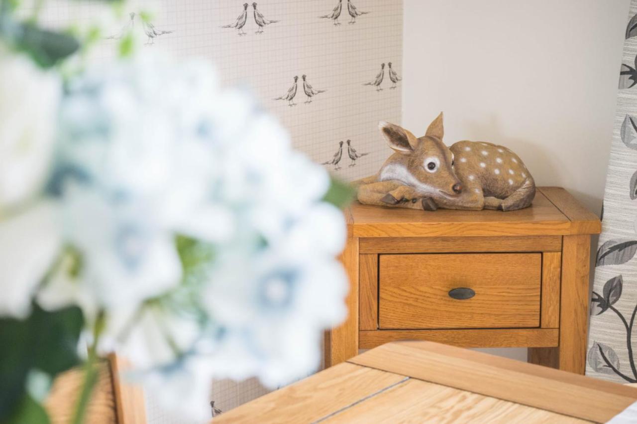 The Heights & Hollows Farmhouse, Saul, Downpatrick, Sleeps 14 Holiday home *